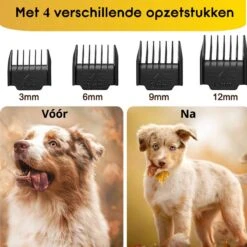 AVE Pets® Volledige Hondentondeuse Set Met Display - Draadloos Tondeuse - Scheerapparaat Voor Je Hond Of Kat - Huisdier Trimmer - Dierentondeuse - Dieren Verzorging 15 AVE Pets® Volledige Hondentondeuse Set Met Display - Draadloos Tondeuse - Scheerapparaat Voor Je Hond Of Kat - Huisdier Trimmer - Dierentondeuse - Dieren Verzorging -DierenPlezier 1200x1200 191