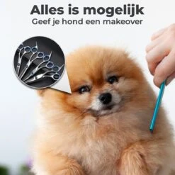 VoordeelShop 7-Delige Huisdier Knipset Met Etui - Trimmen Hond - Honden Schaar - Effileerschaar Hond - Huisdier Trimmer - Huisdier Knippen - Knipschaar Haar - Haar Schaar - Kapper - Kapperset - Scharenset 22 VoordeelShop 7-Delige Huisdier Knipset Met Etui - Trimmen Hond - Honden Schaar - Effileerschaar Hond - Huisdier Trimmer - Huisdier Knippen - Knipschaar Haar - Haar Schaar - Kapper - Kapperset - Scharenset -DierenPlezier 1200x1200 196
