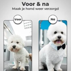 VoordeelShop 7-Delige Huisdier Knipset Met Etui - Trimmen Hond - Honden Schaar - Effileerschaar Hond - Huisdier Trimmer - Huisdier Knippen - Knipschaar Haar - Haar Schaar - Kapper - Kapperset - Scharenset 23 VoordeelShop 7-Delige Huisdier Knipset Met Etui - Trimmen Hond - Honden Schaar - Effileerschaar Hond - Huisdier Trimmer - Huisdier Knippen - Knipschaar Haar - Haar Schaar - Kapper - Kapperset - Scharenset -DierenPlezier 1200x1200 197