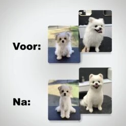 VoordeelShop 7-Delige Huisdier Knipset Met Etui - Trimmen Hond - Honden Schaar - Effileerschaar Hond - Huisdier Trimmer - Huisdier Knippen - Knipschaar Haar - Haar Schaar - Kapper - Kapperset - Scharenset 29 VoordeelShop 7-Delige Huisdier Knipset Met Etui - Trimmen Hond - Honden Schaar - Effileerschaar Hond - Huisdier Trimmer - Huisdier Knippen - Knipschaar Haar - Haar Schaar - Kapper - Kapperset - Scharenset -DierenPlezier 1200x1200 201