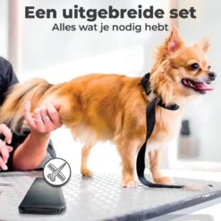 VoordeelShop 7-Delige Huisdier Knipset Met Etui - Trimmen Hond - Honden Schaar - Effileerschaar Hond - Huisdier Trimmer - Huisdier Knippen - Knipschaar Haar - Haar Schaar - Kapper - Kapperset - Scharenset 33 VoordeelShop 7-Delige Huisdier Knipset Met Etui - Trimmen Hond - Honden Schaar - Effileerschaar Hond - Huisdier Trimmer - Huisdier Knippen - Knipschaar Haar - Haar Schaar - Kapper - Kapperset - Scharenset -DierenPlezier 1200x1200 202