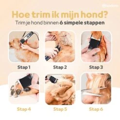Woodoro Professionele 2-in-1 Hondentondeuse Voor Dikke Vacht – Draadloze Honden Tondeuse & Hondentrimmer – Stille Tondeuse Katten & Honden Trimset 18 Woodoro Professionele 2-in-1 Hondentondeuse Voor Dikke Vacht – Draadloze Honden Tondeuse & Hondentrimmer – Stille Tondeuse Katten & Honden Trimset -DierenPlezier 1200x1200 234