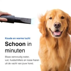 Vivid Green Waterblazer Met 3 Opzetstukken - Hondenfohn - Voor Honden - Met Geluiddemper - 2800W 18 Vivid Green Waterblazer Met 3 Opzetstukken - Hondenfohn - Voor Honden - Met Geluiddemper - 2800W -DierenPlezier 1200x1200 258