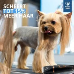 YE™ Professionele Dieren/honden Tondeuse Set Extra Krachtig - Honden Trimmer - Lang Of Kortharige Huisdieren Katten & Honden - Draadloos - Weinig Geluid 12 YE™ Professionele Dieren/honden Tondeuse Set Extra Krachtig - Honden Trimmer - Lang Of Kortharige Huisdieren Katten & Honden - Draadloos - Weinig Geluid -DierenPlezier 1200x1200 269