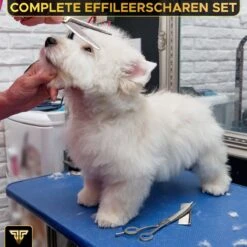 Toivo Schaar Voor Dieren - Zilver - Effileerscharen - Honden Scharenset - Dierenschaar - Set 5 Stuks - Trimscharen - Trimset - Uitdunschaar Hond - Schaar Honden 13 Toivo Schaar Voor Dieren - Zilver - Effileerscharen - Honden Scharenset - Dierenschaar - Set 5 Stuks - Trimscharen - Trimset - Uitdunschaar Hond - Schaar Honden -DierenPlezier 1200x1200 275