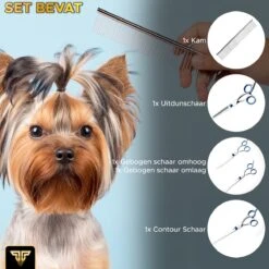 Toivo Schaar Voor Dieren - Zilver - Effileerscharen - Honden Scharenset - Dierenschaar - Set 5 Stuks - Trimscharen - Trimset - Uitdunschaar Hond - Schaar Honden 16 Toivo Schaar Voor Dieren - Zilver - Effileerscharen - Honden Scharenset - Dierenschaar - Set 5 Stuks - Trimscharen - Trimset - Uitdunschaar Hond - Schaar Honden -DierenPlezier 1200x1200 278