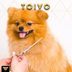 Toivo Schaar Voor Dieren - Zilver - Effileerscharen - Honden Scharenset - Dierenschaar - Set 5 Stuks - Trimscharen - Trimset - Uitdunschaar Hond - Schaar Honden 17 Toivo Schaar Voor Dieren - Zilver - Effileerscharen - Honden Scharenset - Dierenschaar - Set 5 Stuks - Trimscharen - Trimset - Uitdunschaar Hond - Schaar Honden -DierenPlezier 1200x1200 279