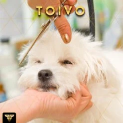 Toivo Schaar Voor Dieren - Zilver - Effileerscharen - Honden Scharenset - Dierenschaar - Set 5 Stuks - Trimscharen - Trimset - Uitdunschaar Hond - Schaar Honden 18 Toivo Schaar Voor Dieren - Zilver - Effileerscharen - Honden Scharenset - Dierenschaar - Set 5 Stuks - Trimscharen - Trimset - Uitdunschaar Hond - Schaar Honden -DierenPlezier 1200x1200 280