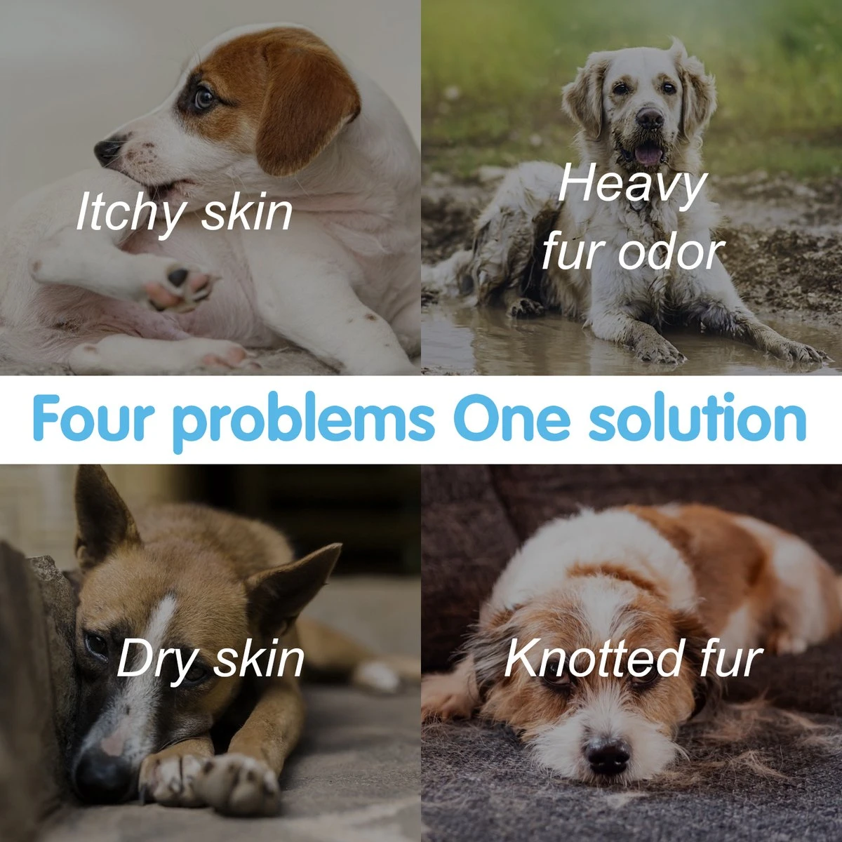 Nobleza ZWN - Hondenshampoo - 500 Ml - Shampoo Voor Honden 7 Nobleza ZWN - Hondenshampoo - 500 Ml - Shampoo Voor Honden - Afbeelding 5