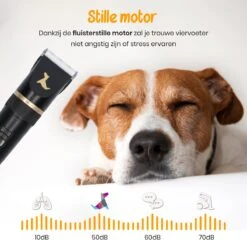 Loyalpetclub® Professionele 2-in-1 Hondentondeuse Voor Dikke Vacht – Draadloze Honden Tondeuse & Hondentrimmer – Stille Tondeuse Katten & Honden Trimset - Inclusief Opbergtasje 13 Loyalpetclub® Professionele 2-in-1 Hondentondeuse Voor Dikke Vacht – Draadloze Honden Tondeuse & Hondentrimmer – Stille Tondeuse Katten & Honden Trimset - Inclusief Opbergtasje -DierenPlezier 1200x1200 301