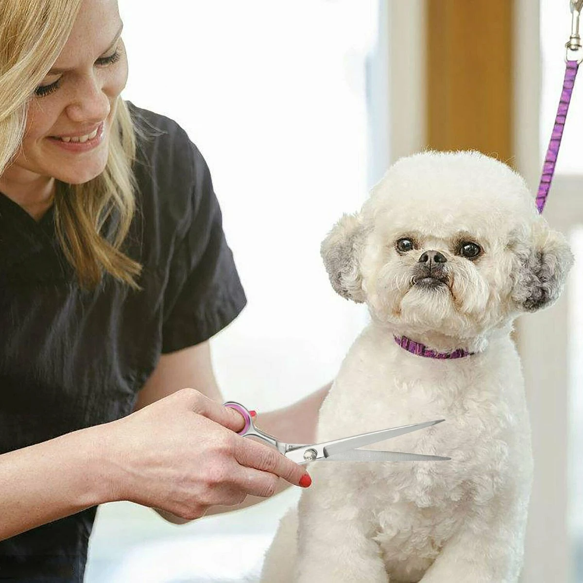 Professor Q - Hondenschaar Krom - Krommende Hondenschaar Links - Professionele Hondenschaar 3 Professor Q - Hondenschaar Krom - Krommende Hondenschaar Links - Professionele Hondenschaar