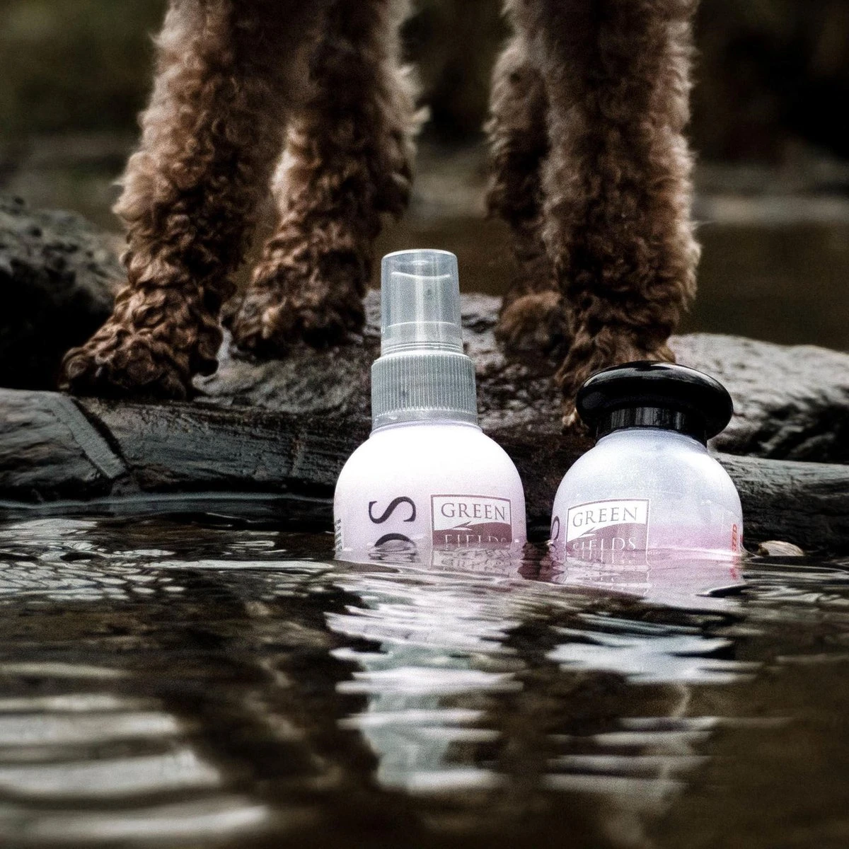 Greenfields - Hondenshampoo Voor Krullende Vacht - Extra Volume En Goede Doorkambaarheid - 270 Ml - Hondenshampoo Krullende Vacht 7 Greenfields - Hondenshampoo Voor Krullende Vacht - Extra Volume En Goede Doorkambaarheid - 270 Ml - Hondenshampoo Krullende Vacht - Afbeelding 5