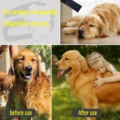 Hondenfohn - Waterblazer Met Draaiknop - 2400W Vermogen Met Warme En Koude Stand - Wit -DierenPlezier 1200x1200 347