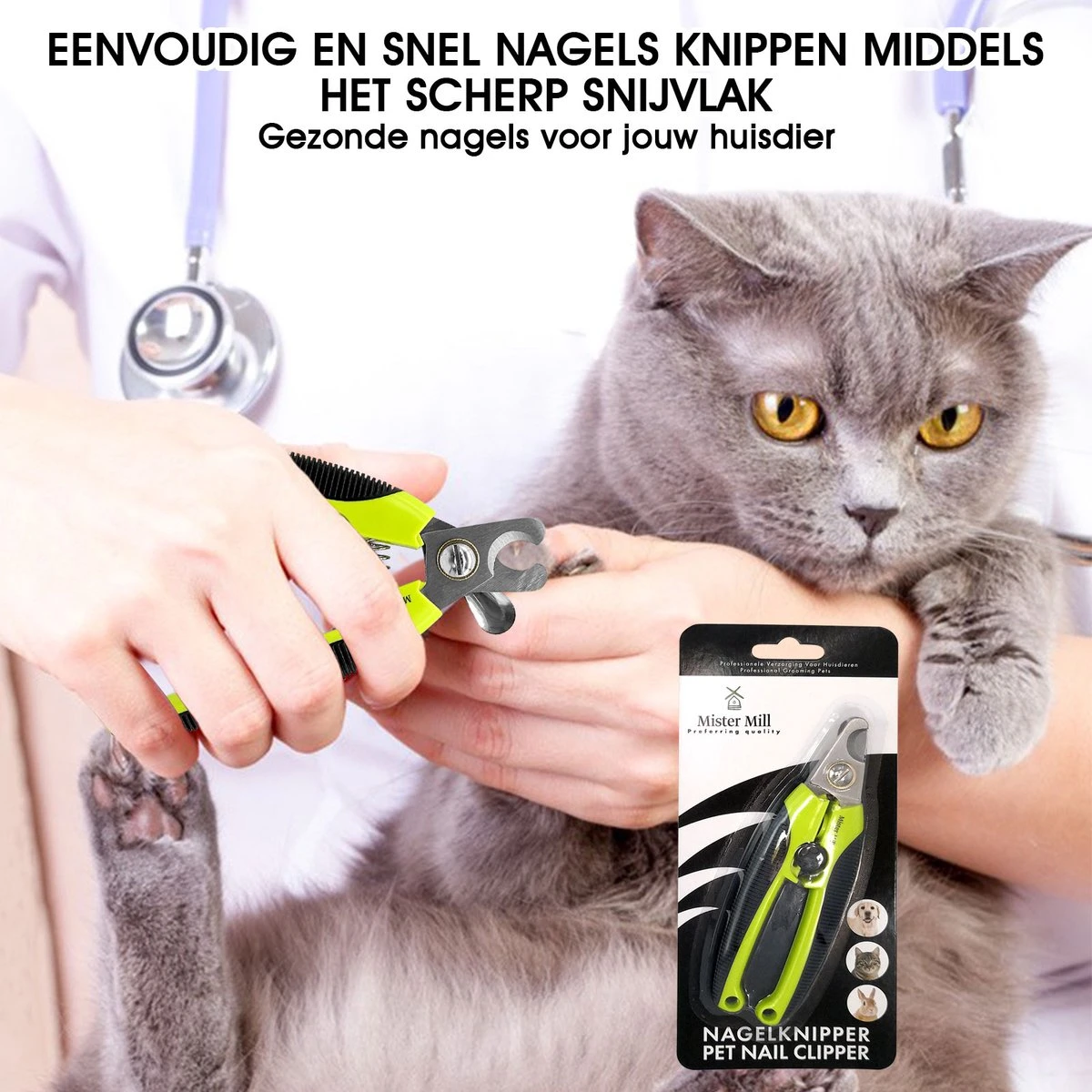 Mister Mill Professionele Set Slicker Honden Kattenborstel Plus Nagelknipper Plus Ondervacht Kam 19 Mister Mill Professionele Set Slicker Honden Kattenborstel Plus Nagelknipper Plus Ondervacht Kam - Afbeelding 17