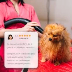 Qumax Professionele Hondenföhn Met 4 Opzetstukken – Waterblazer Voor Honden – Stil Design – Compact En Modern - Zwart 17 Qumax Professionele Hondenföhn Met 4 Opzetstukken – Waterblazer Voor Honden – Stil Design – Compact En Modern - Zwart -DierenPlezier 1200x1200 355