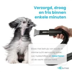 Qumax Professionele Hondenföhn Met 4 Opzetstukken – Waterblazer Voor Honden – Stil Design – Compact En Modern - Zwart 18 Qumax Professionele Hondenföhn Met 4 Opzetstukken – Waterblazer Voor Honden – Stil Design – Compact En Modern - Zwart -DierenPlezier 1200x1200 356