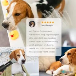 Qumax Professionele Hondenföhn Met 4 Opzetstukken – Waterblazer Voor Honden – Stil Design – Compact En Modern - Zwart 19 Qumax Professionele Hondenföhn Met 4 Opzetstukken – Waterblazer Voor Honden – Stil Design – Compact En Modern - Zwart -DierenPlezier 1200x1200 357