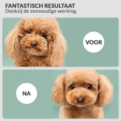 Hondenföhn/Waterblazer - Verstelbare Vermogen Standen (500W Tot 2400W) En Verstelbare Temperatuur - Zwart 15 Hondenföhn/Waterblazer - Verstelbare Vermogen Standen (500W Tot 2400W) En Verstelbare Temperatuur - Zwart -DierenPlezier 1200x1200 361