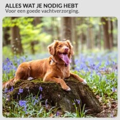 Hondenföhn/Waterblazer - Verstelbare Vermogen Standen (500W Tot 2400W) En Verstelbare Temperatuur - Zwart 18 Hondenföhn/Waterblazer - Verstelbare Vermogen Standen (500W Tot 2400W) En Verstelbare Temperatuur - Zwart -DierenPlezier 1200x1200 364