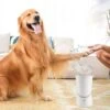 Hondenpoten Reiniger - Wasser - Hond – Pet Paw Washer – Hondenborstel – Honden Borstel - Verzorging 2 Hondenpoten Reiniger - Wasser - Hond – Pet Paw Washer – Hondenborstel – Honden Borstel - Verzorging -DierenPlezier 1200x1200 37