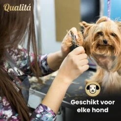 Merkloos Professionele Honden Tondeuse Set - Tondeuse Voor Huisdier Honden En Katten - Hondentrimmer - Hondentondeuse 14 Merkloos Professionele Honden Tondeuse Set - Tondeuse Voor Huisdier Honden En Katten - Hondentrimmer - Hondentondeuse -DierenPlezier 1200x1200 377