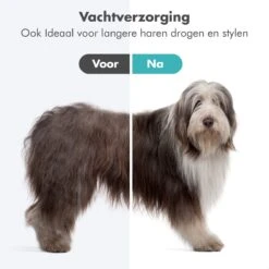 DierenPlezier -DierenPlezier 1200x1200 386