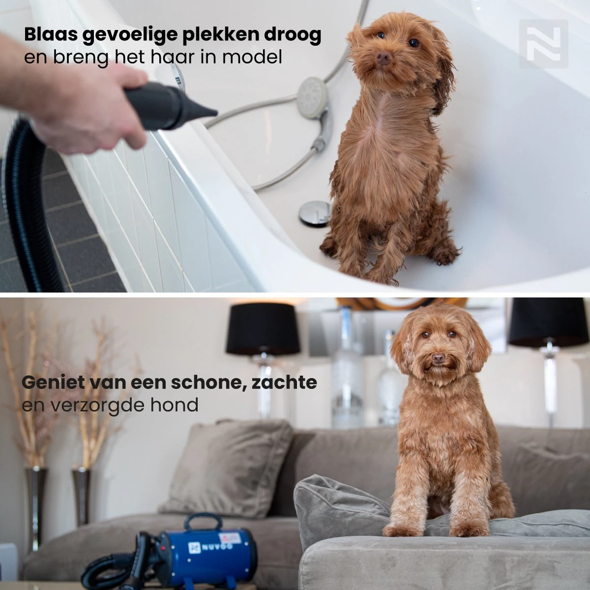 Nuvoo Professionele Hondenföhn / Waterblazer / Hondenborstel Met 3 Opzetstukken - Verstelbare Vermogen Tot 2200W - Warme / Koude Stand - Blauw 7 Nuvoo Professionele Hondenföhn / Waterblazer / Hondenborstel Met 3 Opzetstukken - Verstelbare Vermogen Tot 2200W - Warme / Koude Stand - Blauw - Afbeelding 5