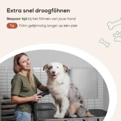 MiMOPETS® Hondenföhn Met 4 Opzetstukken – Waterblazer Voor Honden Met Geluiddemper -Hondendroger - Zwart 17 MiMOPETS® Hondenföhn Met 4 Opzetstukken – Waterblazer Voor Honden Met Geluiddemper -Hondendroger - Zwart -DierenPlezier 1200x1200 406