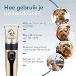 BYER Professionele Dieren Tondeuse Set - Voor Huisdieren Katten & Honden - Draadloos - Oplaadbare Pet Trimmer - Dog Tondeuze Clipper - 5 Standen & Vier Opzetkammen - Low Noise 17 BYER Professionele Dieren Tondeuse Set - Voor Huisdieren Katten & Honden - Draadloos - Oplaadbare Pet Trimmer - Dog Tondeuze Clipper - 5 Standen & Vier Opzetkammen - Low Noise -DierenPlezier 1200x1200 409