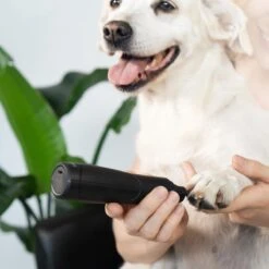 Navaris Elektrische Nagelvijl Voor Huisdieren - Met Diamanten Vijlkop - Voor Honden, Katten En Konijnen - Ook Voor Vogelsnavels - Draadloos 9 Navaris Elektrische Nagelvijl Voor Huisdieren - Met Diamanten Vijlkop - Voor Honden, Katten En Konijnen - Ook Voor Vogelsnavels - Draadloos -DierenPlezier 1200x1200 412