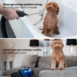 Nuvoo Professionele Hondenföhn / Waterblazer / Hondenborstel Met 3 Opzetstukken - Verstelbare Vermogen Tot 2200W - Warme / Koude Stand - Roze 15 Nuvoo Professionele Hondenföhn / Waterblazer / Hondenborstel Met 3 Opzetstukken - Verstelbare Vermogen Tot 2200W - Warme / Koude Stand - Roze -DierenPlezier 1200x1200 414