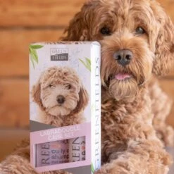 Greenfields Labradoodle Vacht Verzorgingsset - Shampoo En Anti-Klit Spray Voor Langharige Of Krullende Vacht 16 Greenfields Labradoodle Vacht Verzorgingsset - Shampoo En Anti-Klit Spray Voor Langharige Of Krullende Vacht -DierenPlezier 1200x1200 419