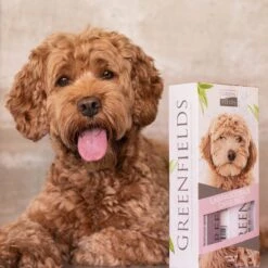 Greenfields Labradoodle Vacht Verzorgingsset - Shampoo En Anti-Klit Spray Voor Langharige Of Krullende Vacht 17 Greenfields Labradoodle Vacht Verzorgingsset - Shampoo En Anti-Klit Spray Voor Langharige Of Krullende Vacht -DierenPlezier 1200x1200 420
