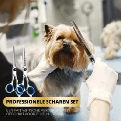 BeautyFit - 16-delig Hondentondeuse Set - Professionele Honden Trimset - Dieren Tondeuse Voor Dikke Vacht - Meest Complete Set - Inclusief 4 Opzetkammen - Hondenschaar - Mist Verstuiver - Handschoen Borstel - Nagelknipper 14 BeautyFit - 16-delig Hondentondeuse Set - Professionele Honden Trimset - Dieren Tondeuse Voor Dikke Vacht - Meest Complete Set - Inclusief 4 Opzetkammen - Hondenschaar - Mist Verstuiver - Handschoen Borstel - Nagelknipper -DierenPlezier 1200x1200 431
