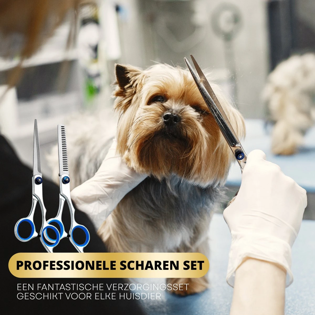 BeautyFit - 16-delig Hondentondeuse Set - Professionele Honden Trimset - Dieren Tondeuse Voor Dikke Vacht - Meest Complete Set - Inclusief 4 Opzetkammen - Hondenschaar - Mist Verstuiver - Handschoen Borstel - Nagelknipper 7 BeautyFit - 16-delig Hondentondeuse Set - Professionele Honden Trimset - Dieren Tondeuse Voor Dikke Vacht - Meest Complete Set - Inclusief 4 Opzetkammen - Hondenschaar - Mist Verstuiver - Handschoen Borstel - Nagelknipper - Afbeelding 6