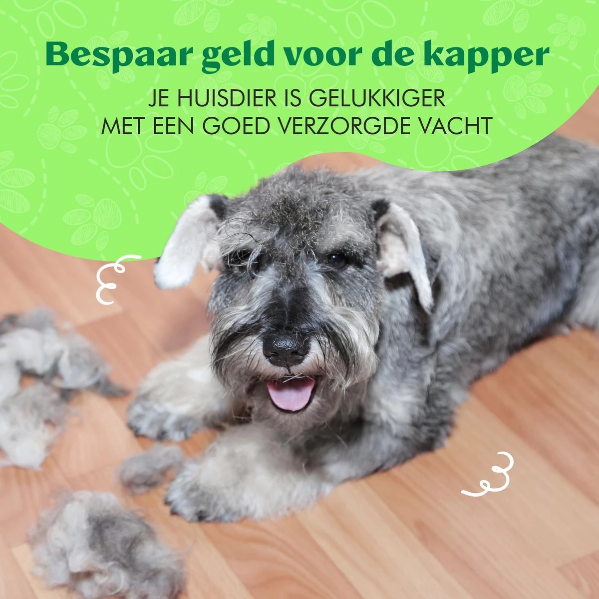 Mister Mill Professionele 2-Zijdige Ondervacht Kam Voor Hond En Kat – Honden/Kattenborstel – Klittenkam – 9,5 Cm. 12 Mister Mill Professionele 2-Zijdige Ondervacht Kam Voor Hond En Kat – Honden/Kattenborstel – Klittenkam – 9,5 Cm. - Afbeelding 10