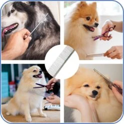 TwinQ Vachtverzorgingsset Hond/kat - Professionele 2-zijdige Ondervacht Kam - Klittenkam Voor Honden En Katten - Verwijderd Klitten En Voorkomt Haaruitval - Incl. Vlooienkam En Tandenborstel 17 TwinQ Vachtverzorgingsset Hond/kat - Professionele 2-zijdige Ondervacht Kam - Klittenkam Voor Honden En Katten - Verwijderd Klitten En Voorkomt Haaruitval - Incl. Vlooienkam En Tandenborstel -DierenPlezier 1200x1200 443