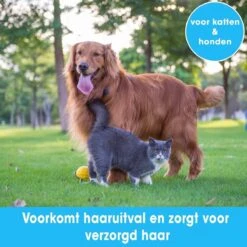 Professionele Ondervacht Kam Voor Hond En Kat S – Hondenborstel – Kattenborstel - Hondenkam –Anti Klit - Haarverwijderaar Voor Huisdieren - Pijnloos - Huisdiervriendelijk – Klittenkam - Voorkomt Haaruitval - Kleine Variant- Black Friday - Sinterklaas 9 Professionele Ondervacht Kam Voor Hond En Kat S – Hondenborstel – Kattenborstel - Hondenkam –Anti Klit - Haarverwijderaar Voor Huisdieren - Pijnloos - Huisdiervriendelijk – Klittenkam - Voorkomt Haaruitval - Kleine Variant- Black Friday - Sinterklaas -DierenPlezier 1200x1200 468
