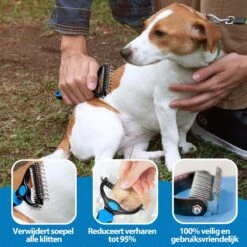 Hoogwaardige 2-Zijdige Hondenkam Hondenborstel Borstel Hond Klittenkam - Ondervacht Kam - Honden Borstel - Honden Kam - Hondenborstel Langharig - Hondenborstel Kortharig - Verwijdert Klitten - Voorkomt Verharing - Blauw - Woodoro 12 Hoogwaardige 2-Zijdige Hondenkam Hondenborstel Borstel Hond Klittenkam - Ondervacht Kam - Honden Borstel - Honden Kam - Hondenborstel Langharig - Hondenborstel Kortharig - Verwijdert Klitten - Voorkomt Verharing - Blauw - Woodoro -DierenPlezier 1200x1200 479