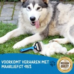 Hoogwaardige 2-Zijdige Hondenkam Hondenborstel Borstel Hond Klittenkam - Ondervacht Kam - Honden Borstel - Honden Kam - Hondenborstel Langharig - Hondenborstel Kortharig - Verwijdert Klitten - Voorkomt Verharing - Blauw - Woodoro 16 Hoogwaardige 2-Zijdige Hondenkam Hondenborstel Borstel Hond Klittenkam - Ondervacht Kam - Honden Borstel - Honden Kam - Hondenborstel Langharig - Hondenborstel Kortharig - Verwijdert Klitten - Voorkomt Verharing - Blauw - Woodoro -DierenPlezier 1200x1200 483