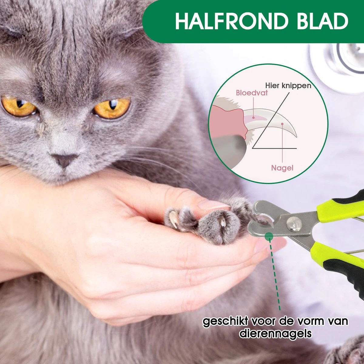Mister Mill Nagelknipper Kat - Nagelschaar - Kleine Hond (Max. 10 Kg.) Vogel En Knaagdier 4 Mister Mill Nagelknipper Kat - Nagelschaar - Kleine Hond (Max. 10 Kg.) Vogel En Knaagdier - Afbeelding 2