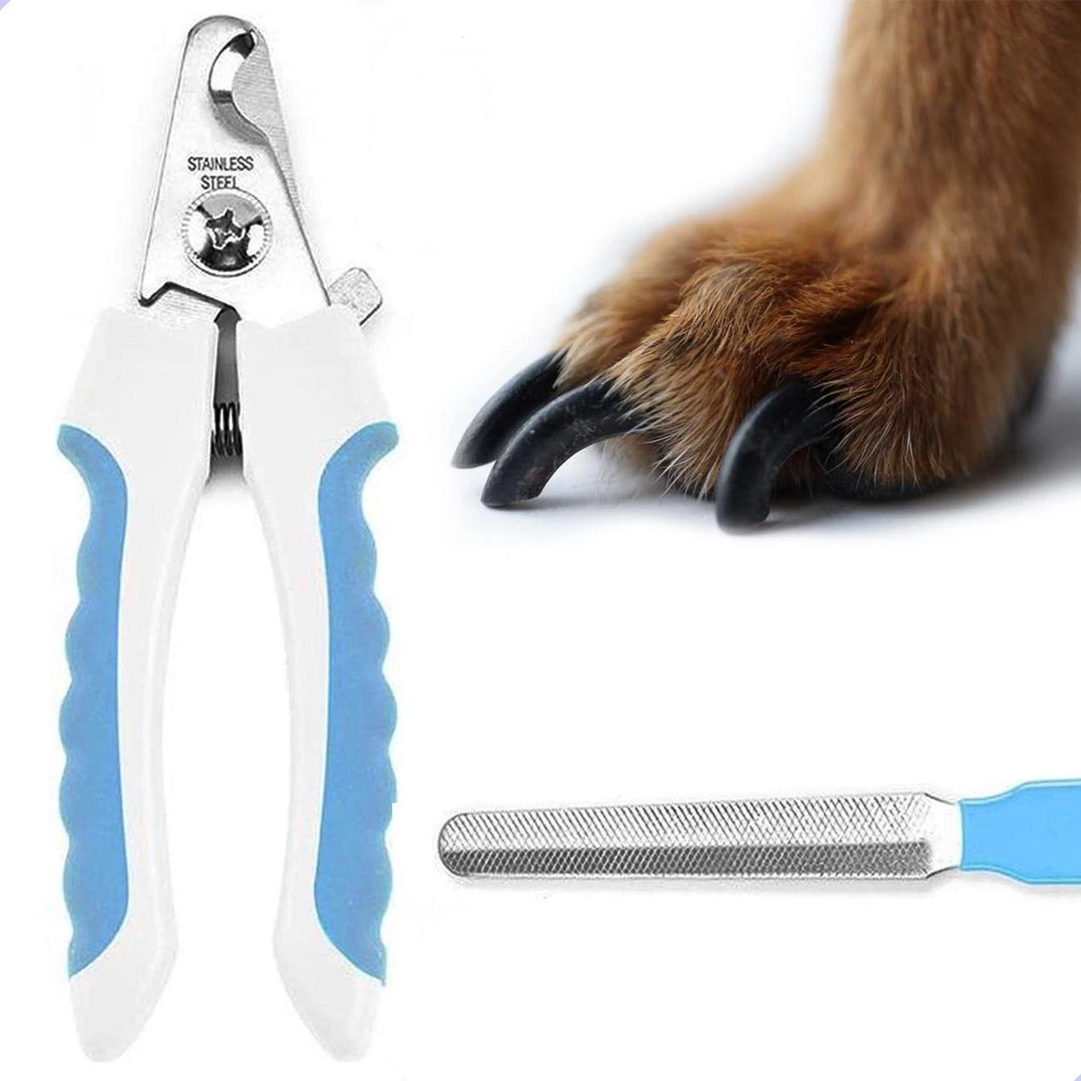 Professionele Nagelschaar|Nagelschaar Hond | Nagelschaar Kat| Nagelknipper Hond En Kat| Nagelknipper Kat| Nagelknipper Hond|NagelTang Dieren|Poot Verzorging 2 Professionele Nagelschaar|Nagelschaar Hond | Nagelschaar Kat| Nagelknipper Hond En Kat| Nagelknipper Kat| Nagelknipper Hond|NagelTang Dieren|Poot Verzorging