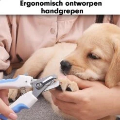 Professionele Nagelschaar|Nagelschaar Hond | Nagelschaar Kat| Nagelknipper Hond En Kat| Nagelknipper Kat| Nagelknipper Hond|NagelTang Dieren|Poot Verzorging 14 Professionele Nagelschaar|Nagelschaar Hond | Nagelschaar Kat| Nagelknipper Hond En Kat| Nagelknipper Kat| Nagelknipper Hond|NagelTang Dieren|Poot Verzorging -DierenPlezier 1200x1200 540