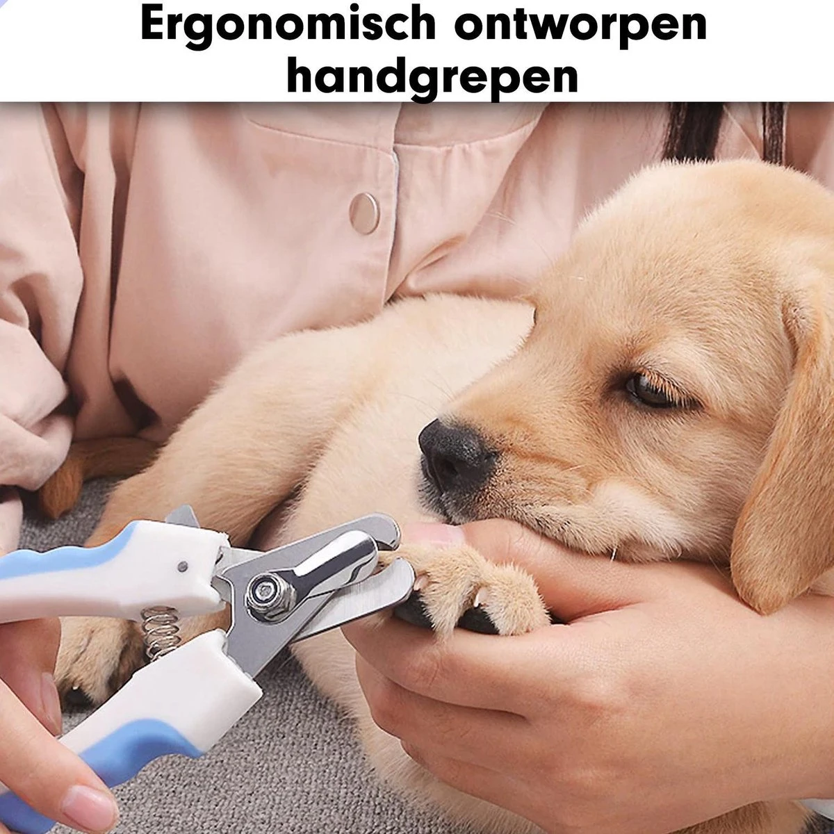 Professionele Nagelschaar|Nagelschaar Hond | Nagelschaar Kat| Nagelknipper Hond En Kat| Nagelknipper Kat| Nagelknipper Hond|NagelTang Dieren|Poot Verzorging 4 Professionele Nagelschaar|Nagelschaar Hond | Nagelschaar Kat| Nagelknipper Hond En Kat| Nagelknipper Kat| Nagelknipper Hond|NagelTang Dieren|Poot Verzorging - Afbeelding 3
