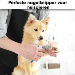 Professionele Nagelschaar|Nagelschaar Hond | Nagelschaar Kat| Nagelknipper Hond En Kat| Nagelknipper Kat| Nagelknipper Hond|NagelTang Dieren|Poot Verzorging 16 Professionele Nagelschaar|Nagelschaar Hond | Nagelschaar Kat| Nagelknipper Hond En Kat| Nagelknipper Kat| Nagelknipper Hond|NagelTang Dieren|Poot Verzorging -DierenPlezier 1200x1200 542