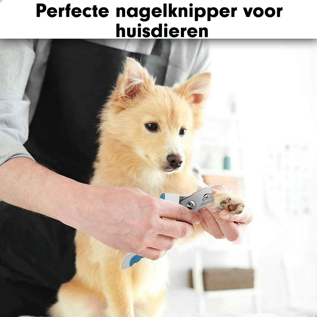 Professionele Nagelschaar|Nagelschaar Hond | Nagelschaar Kat| Nagelknipper Hond En Kat| Nagelknipper Kat| Nagelknipper Hond|NagelTang Dieren|Poot Verzorging 6 Professionele Nagelschaar|Nagelschaar Hond | Nagelschaar Kat| Nagelknipper Hond En Kat| Nagelknipper Kat| Nagelknipper Hond|NagelTang Dieren|Poot Verzorging - Afbeelding 5