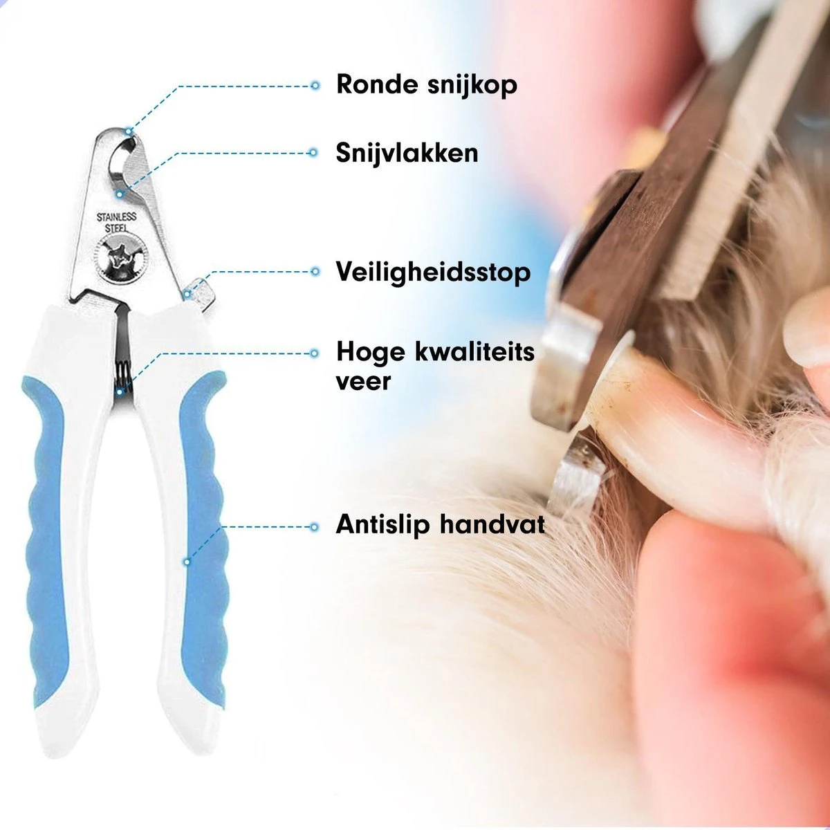 Professionele Nagelschaar|Nagelschaar Hond | Nagelschaar Kat| Nagelknipper Hond En Kat| Nagelknipper Kat| Nagelknipper Hond|NagelTang Dieren|Poot Verzorging 7 Professionele Nagelschaar|Nagelschaar Hond | Nagelschaar Kat| Nagelknipper Hond En Kat| Nagelknipper Kat| Nagelknipper Hond|NagelTang Dieren|Poot Verzorging - Afbeelding 6