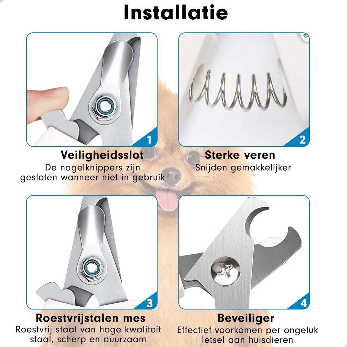 Professionele Nagelschaar|Nagelschaar Hond | Nagelschaar Kat| Nagelknipper Hond En Kat| Nagelknipper Kat| Nagelknipper Hond|NagelTang Dieren|Poot Verzorging 8 Professionele Nagelschaar|Nagelschaar Hond | Nagelschaar Kat| Nagelknipper Hond En Kat| Nagelknipper Kat| Nagelknipper Hond|NagelTang Dieren|Poot Verzorging - Afbeelding 7