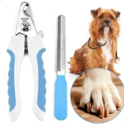 Professionele Nagelschaar|Nagelschaar Hond | Nagelschaar Kat| Nagelknipper Hond En Kat| Nagelknipper Kat| Nagelknipper Hond|NagelTang Dieren|Poot Verzorging 20 Professionele Nagelschaar|Nagelschaar Hond | Nagelschaar Kat| Nagelknipper Hond En Kat| Nagelknipper Kat| Nagelknipper Hond|NagelTang Dieren|Poot Verzorging -DierenPlezier 1200x1200 545