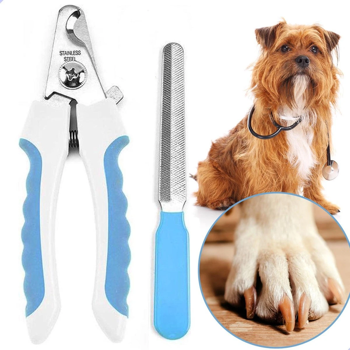 Professionele Nagelschaar|Nagelschaar Hond | Nagelschaar Kat| Nagelknipper Hond En Kat| Nagelknipper Kat| Nagelknipper Hond|NagelTang Dieren|Poot Verzorging 10 Professionele Nagelschaar|Nagelschaar Hond | Nagelschaar Kat| Nagelknipper Hond En Kat| Nagelknipper Kat| Nagelknipper Hond|NagelTang Dieren|Poot Verzorging - Afbeelding 9